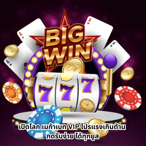 เมก้าเบท VIP
