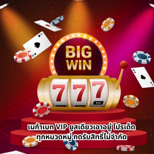 เมก้าเบท VIP